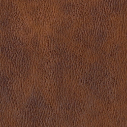 Sahara rust