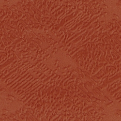 Mars coral