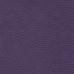Maestro violet