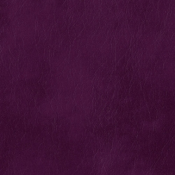 Grazie violet